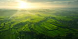 Fototapeta Na ścianę - sunrise over fields, Endless Horizons Crop Fields Meeting the Edge of the World