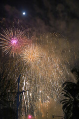 Canvas Print - fireworks of different colors and shapes exploding during Valencia during the Fallas celebration