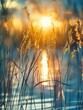  a sun shines behind reeds growing in water, shallow depth of field style, slovenian paintings, joyous celebration of nature, close-ups