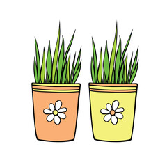Wall Mural - Yellow and orange flower pots with decorative grass, plant. Hand drawn simple outline vector color illustration in doodle style, isolated. Design element, clip art for decoration
