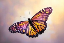Beautiful Monarch Butterfly, Danaus Plexippus, On Colorful Background