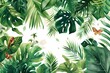 Graphic illustrations  features  Vintage Boho style green tropical foliage Garden on white background , artwork for wall art, home decor and background 