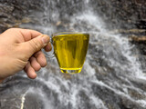 Fototapeta Natura - Hot yellow crocus tea drinking from a cup next to a waterfall in nature