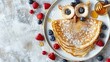 Pancake owl art with berries and honey on plate, kids  breakfast concept on white background