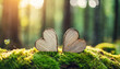 wooden hearts on moss in forest cemetery, symbolic of burial and environmental concerns