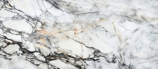 Poster - An artistic close up of a bedrocklike white marble texture with intricate black veins, resembling a painted landscape on rock