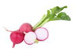 Radish and leaf isolated on transparent png
