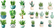 Houseplants in plant pots, flower potted plant, green leaves interior decoration isolated vector illustration icons set