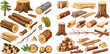  Oak or pine lumber and woodpile for industry