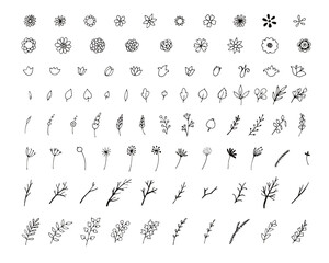 Wall Mural - Set of simple doodles of flowers and twigs