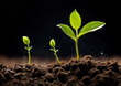 Green seedling illustrating concept of new life and business growth on black background