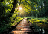 Fototapeta Natura - Wooden path in the forest at sunrise Beautiful nature background