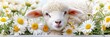 © Ilja - Young lamb grazing in daisy field on a sunny summer day   farm animal scene with copy space