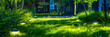 Grünes Grass in Park.