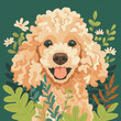 A smiling poodle dog with cream color ,illustration