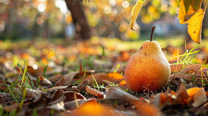 Poster - A pear rests by a tree trunk among leaves.