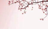 Fototapeta Las - Sfondo fiori di ciliegio giapponesi in rosa
