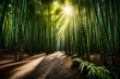 A serene bamboo forest with sunlight filtering through dense foliage, casting enchanting patterns on the ground.