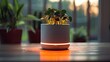 A smart plant pot that monitors soil moisture and nutrient levels