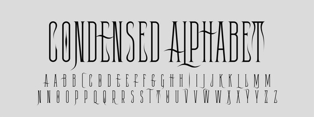 Aufkleber - Vector Double Set Of Letters. Latin Elegant Condensed Serif Alphabet With Swashes and Flourishes. Typography Modern Narrow Font.