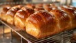 Glazed brioche loaves on wire cooling rack in bakery with golden hue