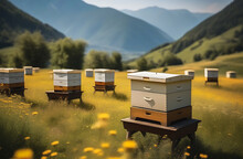Bee Hives In A Clearing With Green Grass High In The Mountains. Alpine Honey. Production Of Environmentally Friendly Honey. The Concept Of World Bee Day