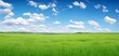 green meadows with beutyfull blue sky and white clouds in day ligth for background