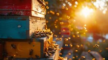 Sunrise Activity At The Colorful Bee Hives, Showcasing The Beauty Of Nature's Pollinators