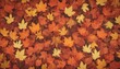 © Iremia - A background design made up of fall leaves on a Chicago street