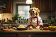 cute dog golden retriever chef with costume ready to cook