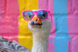 A duck wearing sunglasses and a yellow door in the background. Funny goose wearing sunglasses in studio with a colorful and bright background. funny animals card. a positive mood