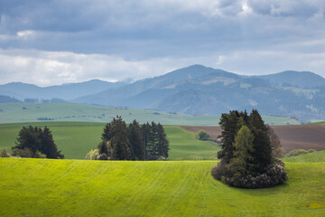 Wall Mural - Spring landscape with green meadows and mountains in the background. View of The Velka Fatra national park in Slovakia, Europe