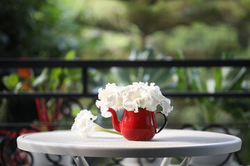 Wall Mural - White flowers in a red vintage kettle teapot vase on the balcony table