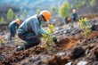 planting trees in deforested area, human contribution to reforestation and carbon offset for eco-friendly. Agricultural workers tend to burgeoning plants in expansive terrain, enveloped
