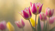 Różowo-żółte Tulipany, tapeta, dekoracja. Generative AI