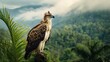 Majestic Philippine Eagle in Remote Habitat