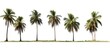 © GoDress - Collection of coconut trees isolated on white background. copy space