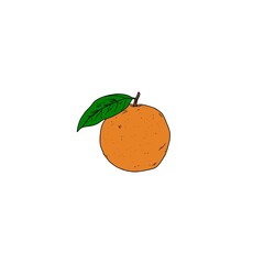 Canvas Print - Color Orange fruit hand drawing icon