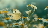 Fototapeta  - Butterfly amidst wildflowers, closeup view, selective focus, spring nature