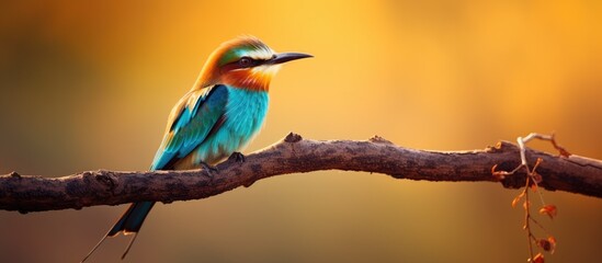 Poster - Bird perched on tree branch