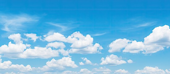 Poster - cows grazing in a vast field under a clear blue sky