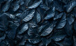 Dark blue leaves with water droplets texture background
