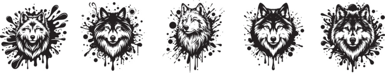  five wolf portraits in paint splash vector set