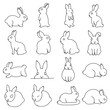 Rabbit Doodle vector icon set. Drawing sketch illustration hand drawn line eps10