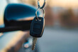 Forgot car key inside: lockout, theft prevention