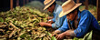 Workers processing tobacco leaves