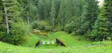 Fototapeta Do pokoju - Wetlands in a mountain forest