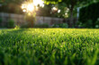 © Aevan - Freshly cut and landscaped healthy green grass lawn in the backyard