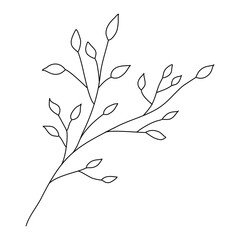 Branch with leaves, ecology or spring element, doodle style flat vector outline for coloring book