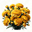 黄色いカーネーションの花束のイラスト。たくさんのカーネーションの花のプレゼントのイメージ